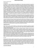 Prácticas Culturales en Arándano Sistemas de Gestión del Suelo