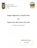 Rasgos vegetativos y reproductivos De Especies del valle costero: Rio Lluta