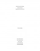 Plan de cuidado pediatria