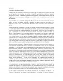 El software: naturaleza y calidad