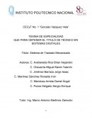 Sistema de Translado Mecanizado