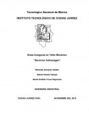 Áreas Inseguras en Taller Mecánico “Servicios Volkswagen”