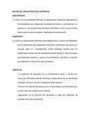 MATRIZ DE CARACTERISTICAS DEFINIDAS