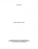 TI036-TECNOLOGIA WEB Y WEB ENGINEERING SOLUCION CASO PRACTICO