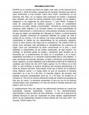 RESUMEN EJECUTIVO RUSFRI