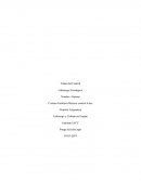 Liderazgo Estratégico. Liderazgo y Trabajo en Equipo