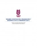 RESUMEN: INVESTIGACIÓN, ORGANIZACIÓN Y DESARROLLO DE LA COMUNIDAD