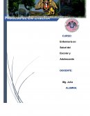 Enfermería en Salud del Escolar y Adolescente. Apendicitis pae