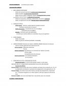 Derecho Penal. Los hechos que suceden. CALIFICACIÓN JURÍDICA