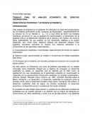 DERECHOS DE PROPIEDAD Y EFICIENCIA ECONOMICA