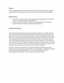 Formulacion Empresa ANGELCOM S.A