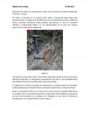 Reporte trabajo de campo