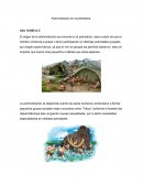 Linea del tiempo de la administración