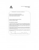 DESARROLLO. COMPLEJO APICULTOR DEL BAJÍO S. A DE C.V