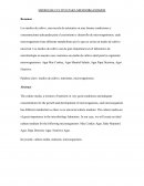 MEDIOS DE CULTIVO PARA MICROORGANISMOS