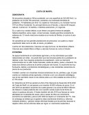 COMPOSICION DEMOGRAFICA. COSTA DE MARFIL