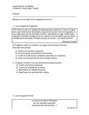 Practicas Robinson Crusoe. “La aurora”