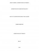 NORMATIVIDAD DE TRÁNSITO