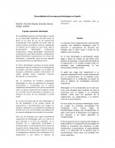 Generalidades de las empresas Mondragón en España