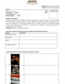 Guias de museos y sus historias