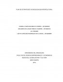 PLAN DE ESTRATEGICO DE NEGOCIACION INTERCULTURAL