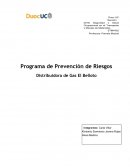 Programa de Prevención de Riesgos Distribuidora de Gas El Belloto