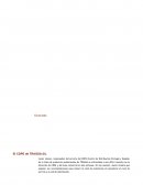 CASO PRACTICO TRAGSA