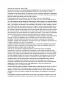 Resumen de la película: Daens (1993)