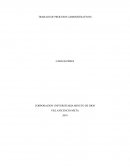 Marco estrategico de las empresas