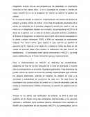 IMPLEMENTACION HACCP EN AHUMADOS