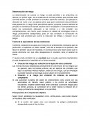 Teoria del delito. Determinación del riesgo