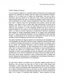 Ensayo del libro Como trabaja Google