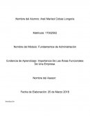 Importancia De Las Áreas Funcionales De Una Empresa