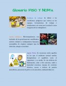 Accidente de trabajo. Glosario FISO Y NOM´s