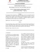 RESISTIVIDAD ELÉCTRICA. INFORME FISICA DE CAMPO