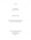 Promover los productos artesanos a manera de negocio independiente