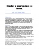 Cálculo y la importancia de los límites
