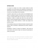 INFORME Y RESULTADOS DE LA INVESTIGACÓN DE MERCADOS