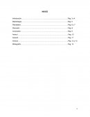 Pre cordillera zapahuira