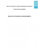 PROCESO DEL ENVEJECIMIENTO