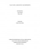 TALLER: VIDEO LA INNOVACIÓN Y SUS INGREDIENTES