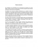 Resumen ejecutivo Mattel