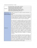 Análisis y descripción de una cadena de suministro Internacional y su éxito masivo