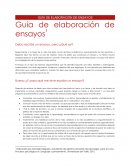 Guia de elaboracion de ensayos