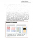 DIFUSIÓN SIMPLE. SISTEMA CARDIOVASCULAR