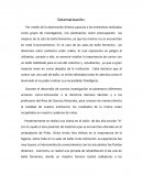 Proyecto mejoras de la sala de baño femenina