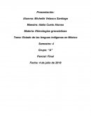Estado de las lenguas indígenas en México