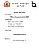 Practica: 9 “Obtención y detección de CO2”