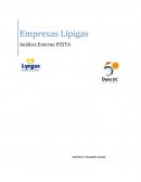 Empresas Lipigas Análisis Externo PESTA