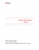 Competencias de Empleabilidad para el Desarrollo Profesional